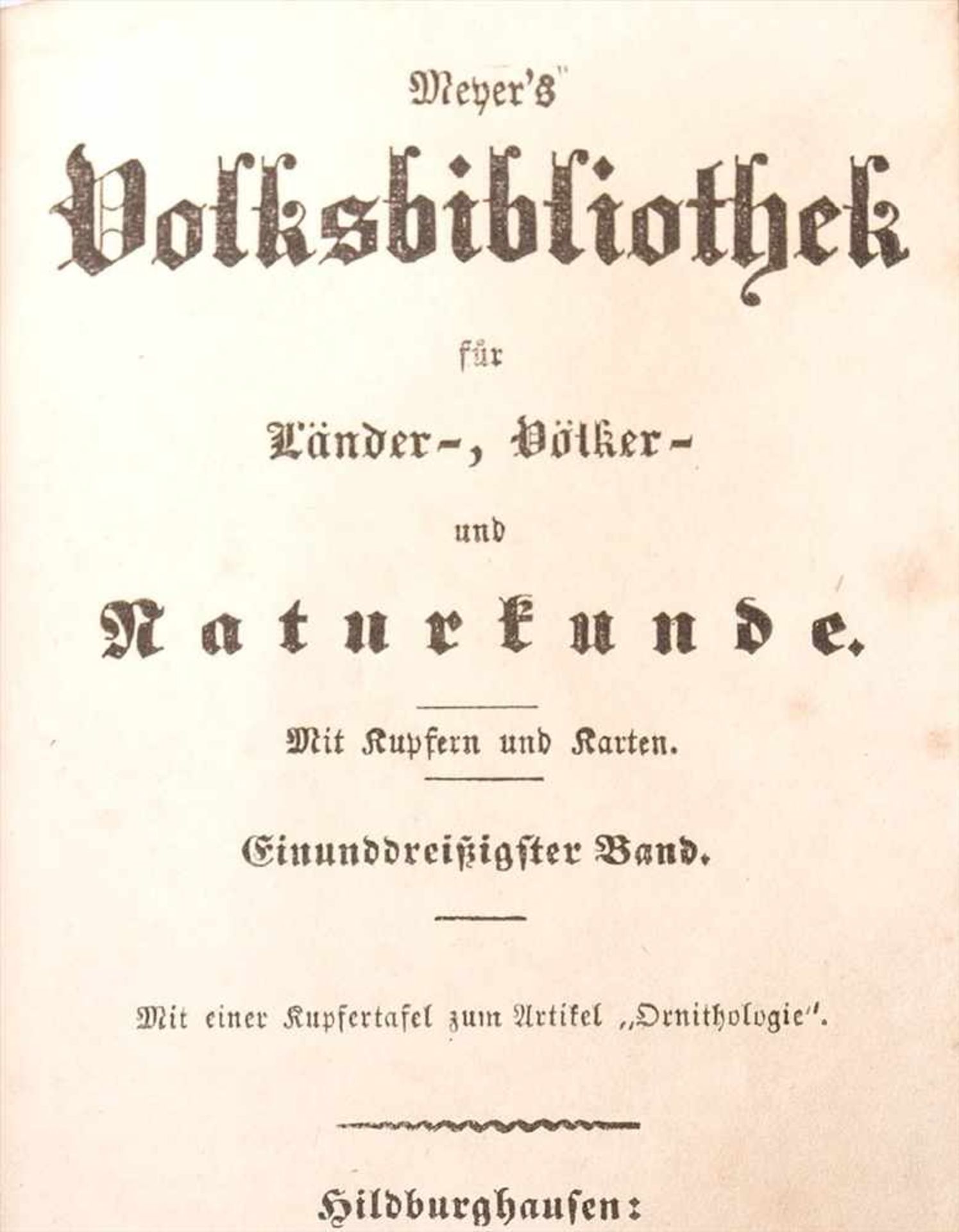 KonvolutMeyers Volksbibliothek, Hildburghausen, 19.Jhdt. Mit ornithologischer Tafel (Stahlstich). - Bild 3 aus 3