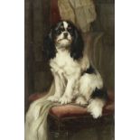 Hugh George Shaw (British, exh. 1880-1895) Cavalier King Charles Spaniel