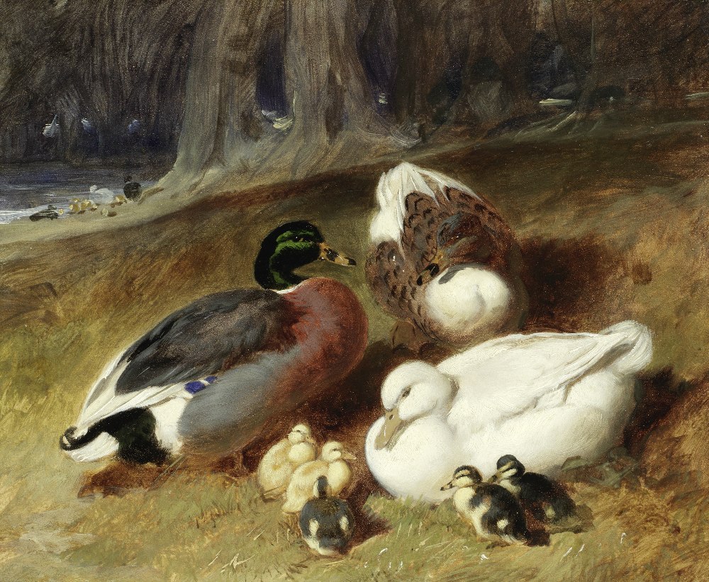 John Frederick Herring, Snr. (British, 1795-1865) Ducks and ducklings