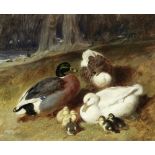 John Frederick Herring, Snr. (British, 1795-1865) Ducks and ducklings