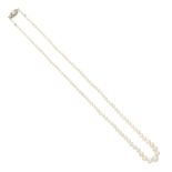 A graduated cultured pearl necklace with diamond and pearl clasp