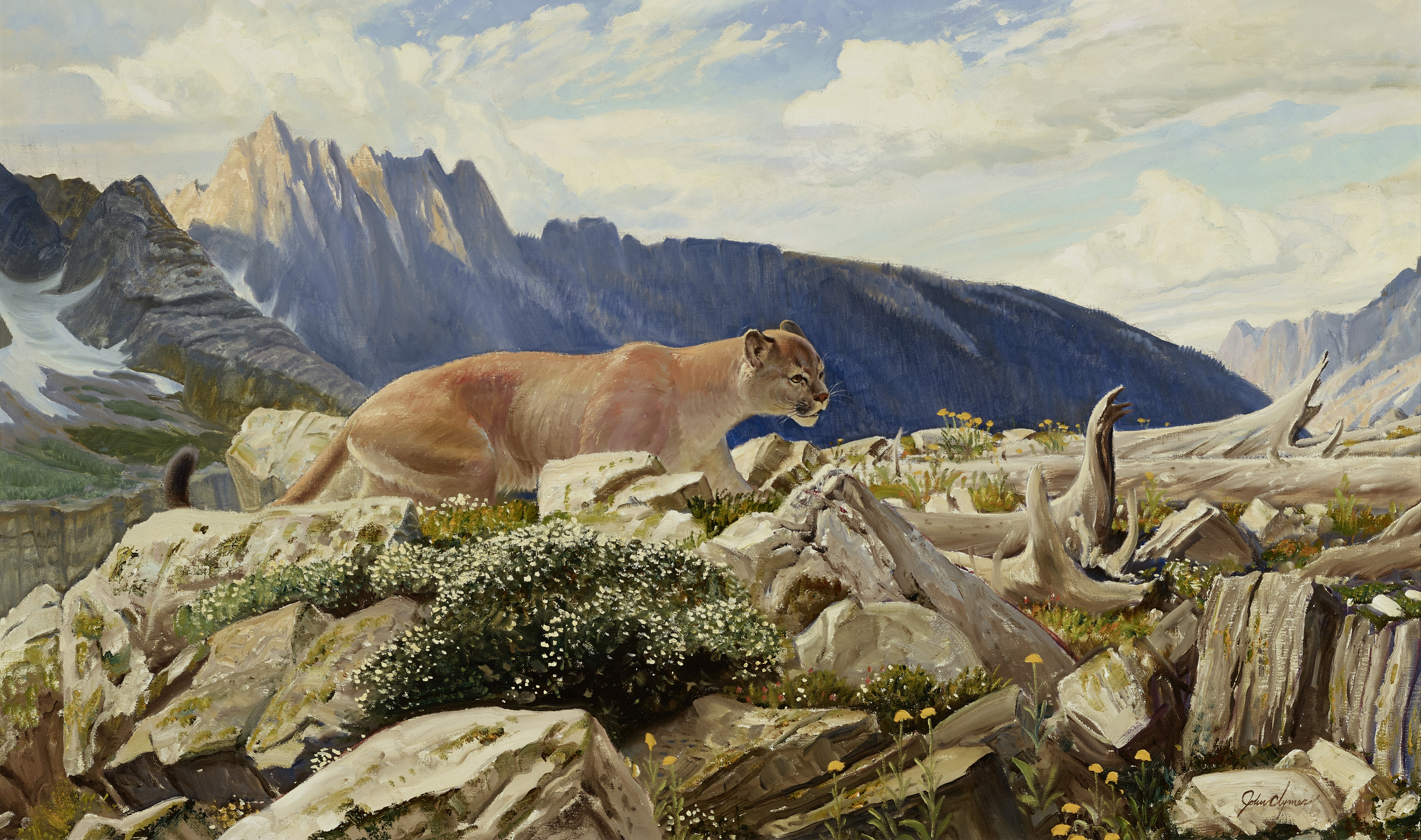 John Ford Clymer (1907-1989) The Big Long Tail 24 x 40in