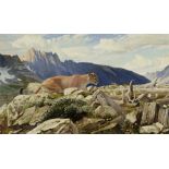 John Ford Clymer (1907-1989) The Big Long Tail 24 x 40in