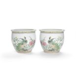 A pair of Chinese famille rose enameled jardinieres 20th century