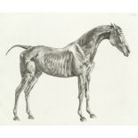 STUBBS (GEORGE) The Anatomy of the Horse, FIRST EDITION, J. Purser, 1766 [but plates watermarked ...