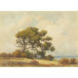 Percy Gray (1869-1952) Oak Tree by the Sea 10 x 14in