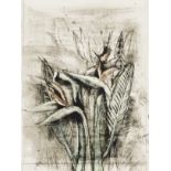 Jim Dine (born 1935); Strelitzia, from A Temple of Flora;