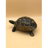 Victorian taxidermy turtle made into an ink well stand. Fitted with a couple photograph to the