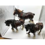 Three shire horses