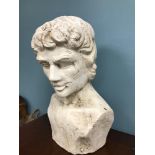 A Large male bust. Measures 44cm in height.