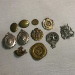 A Lot of military cap badges to include Life Boys, RAF Kings Crown & Horse Martingale badges