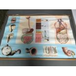 An educational scroll poster, informing of the digestive system by Hagemann, 180x120cm