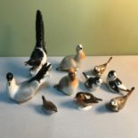 A Quantity of USSR Porcelain bird figures which includes Grouse, Magpie & Robin
