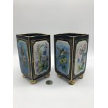 A Pair of 19th century black glass vases hand painted with floral and bird designs finished with a
