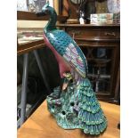 A Large 17th/18th century Chinese peacock figurine, Beautifully hand painted, showing high detail to