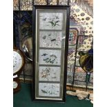 A Lot of 5 Victorian framed rice paper paintings, Beautifully paintings depicting insects and folia