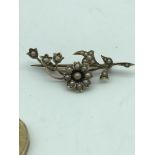 A 9ct gold ladies seed pearl flower design brooch. Early 1920's. Weighs 3grams