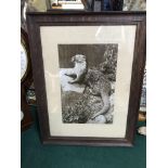 Antique framed photograph of an otter by Thomas Wood. Fine art Gallery, Darlington. Frame measures