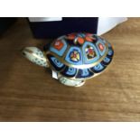 Royal Crown Derby Terrapin with gold button an box