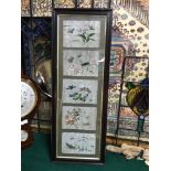 A Lot of 5 Victorian framed rice paper paintings, Beautifully paintings depicting insects and
