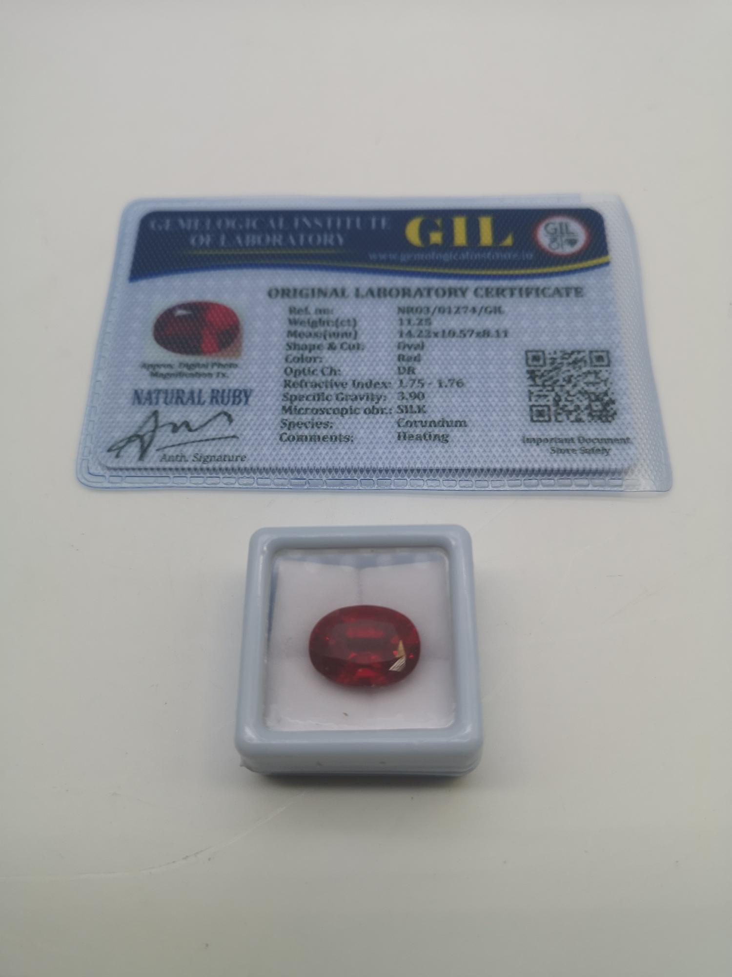 Gemelogical Institute of Laboratory Natural Ruby 11.25ct stone. Oval cut. Comes with certificate