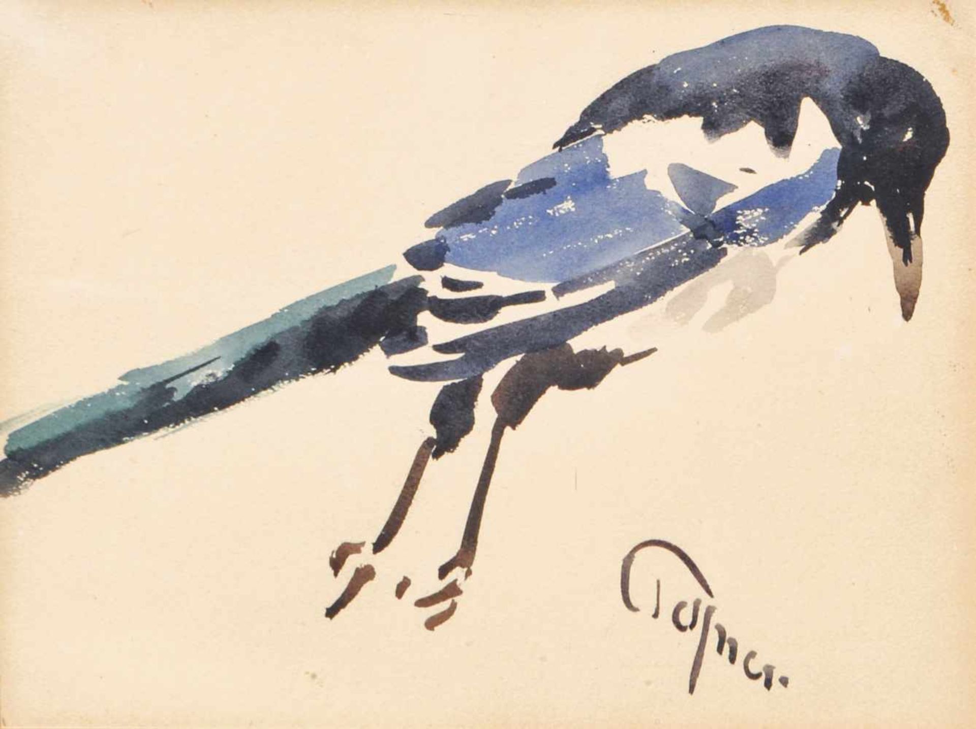 Josef Telfner Ghiandaia;Aquarell, 19 x 25 cm, gerahmt Signiert