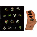 14 Copper-Plate Botanical Magic Lantern Sliders, c. 1840England. 14 lantern slides, copper-plate