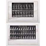 2 Edward Muybridge Pictures, 18871) Animal Locomotion Plate 306, girl with a ball, water spots,