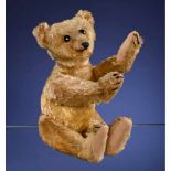 Rare Steiff PB28 Rod Bear, c. 1903/1904With pale-golden mohair, large boot button eyes, horizontal