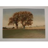Michael Carlo (British, b.1945)Autumn OaksLimited edition lithograph numbered 74/200Signed, titled