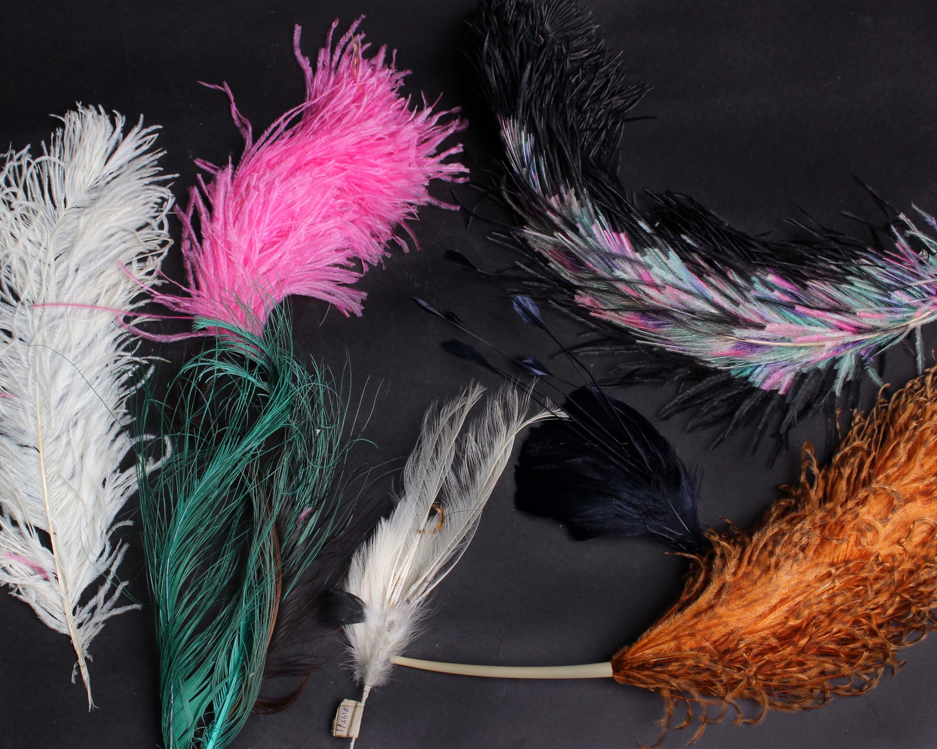 A quantity of early 20th Century millinery feathers, some with their original Paris labels and a - Image 2 of 2