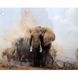 A David Shepard limited edition print. 'Elephants of The Tsavo National Park' signed in pencil