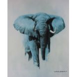 A David Shepard Elephant print. Numbered 403/850. Signed in pencil bottom right.