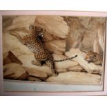 Samuel Howitt (1756-1822) Leopards Watercolour Signed lower left 15.5 x 23cm Ex. The Ruskin Gallery,