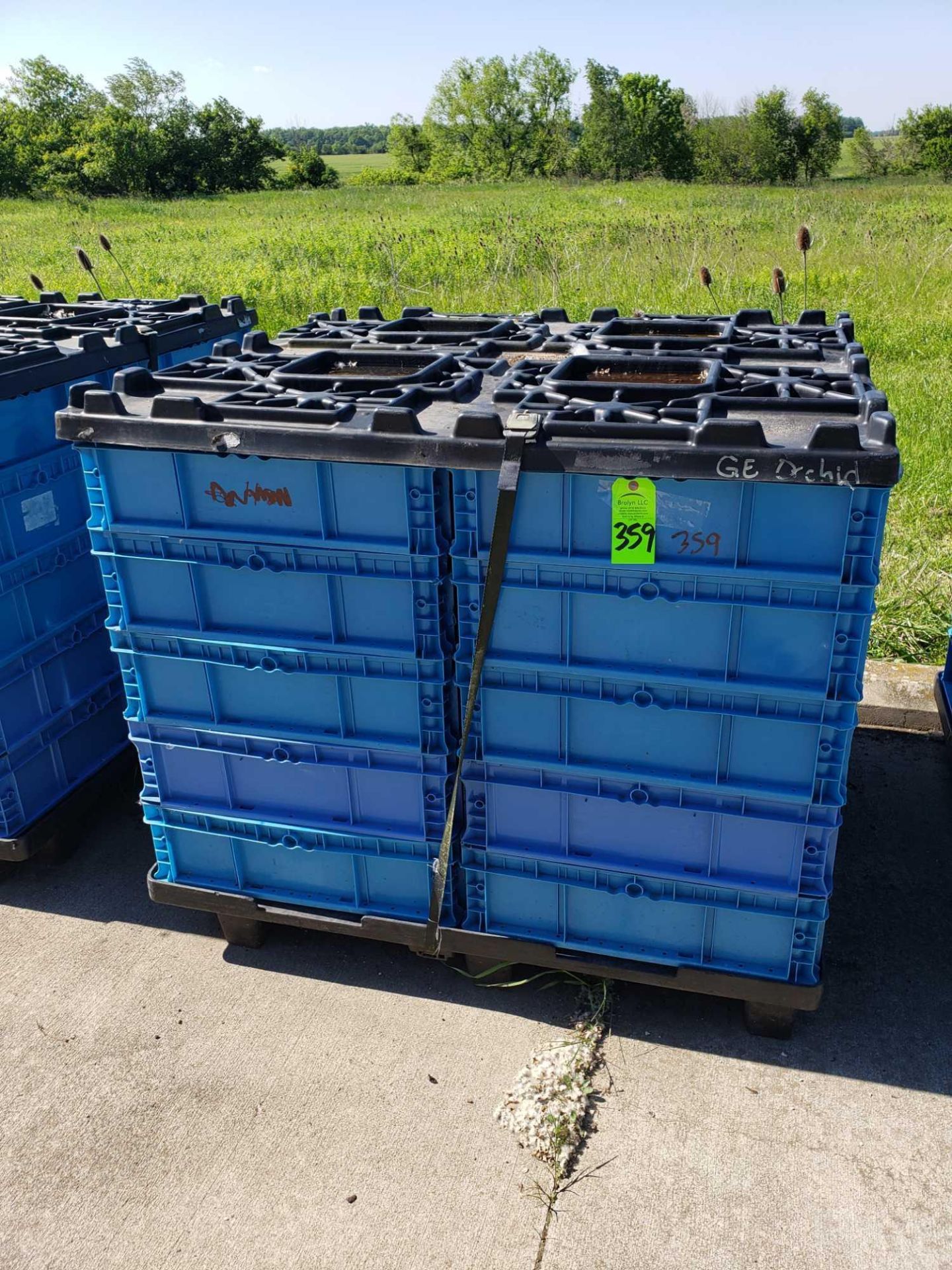 Qty 30 - plastic bins. 24" x 15" x 7" with pallet