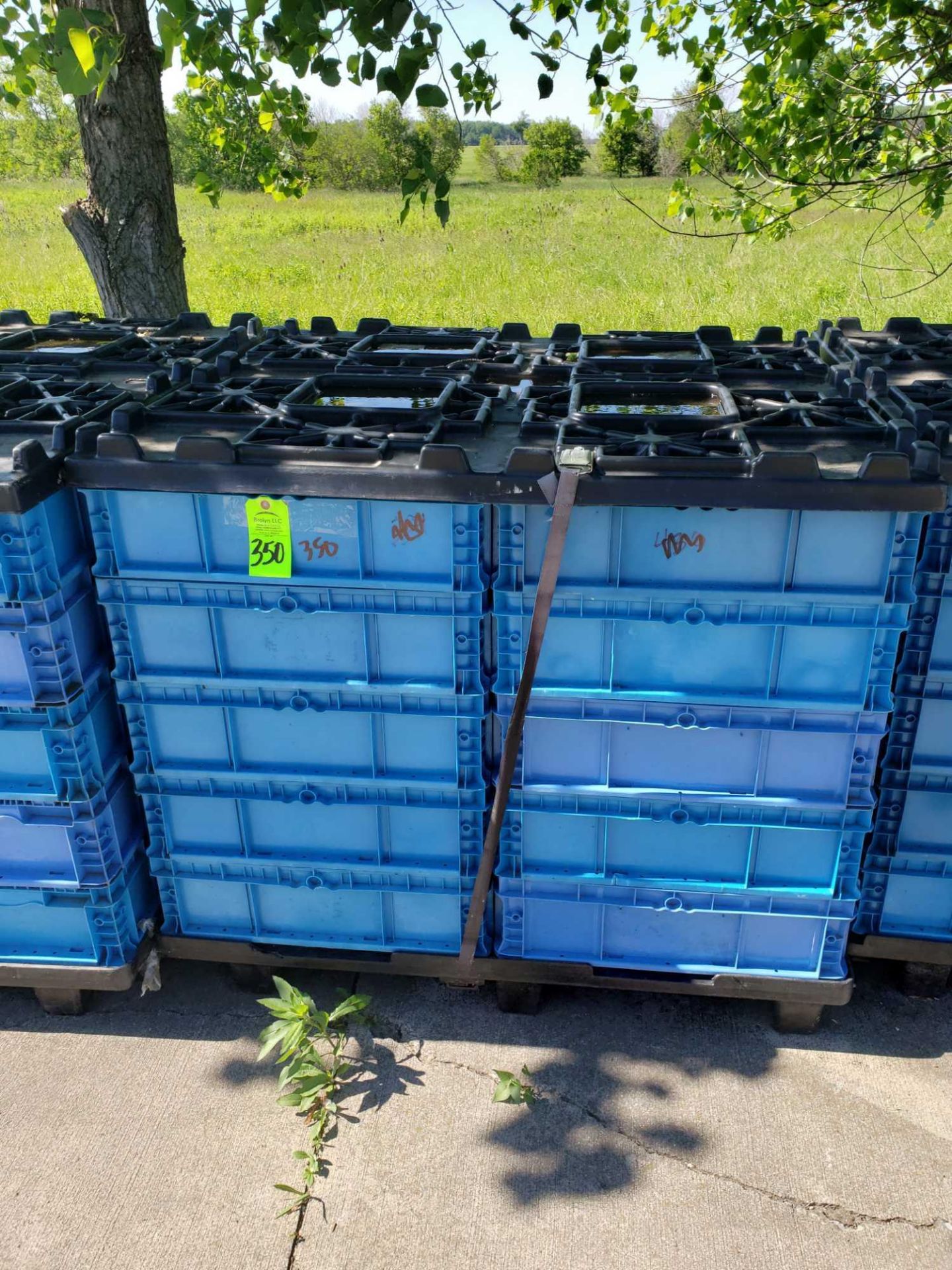 Qty 30 - plastic bins. 24" x 15" x 7" with pallet