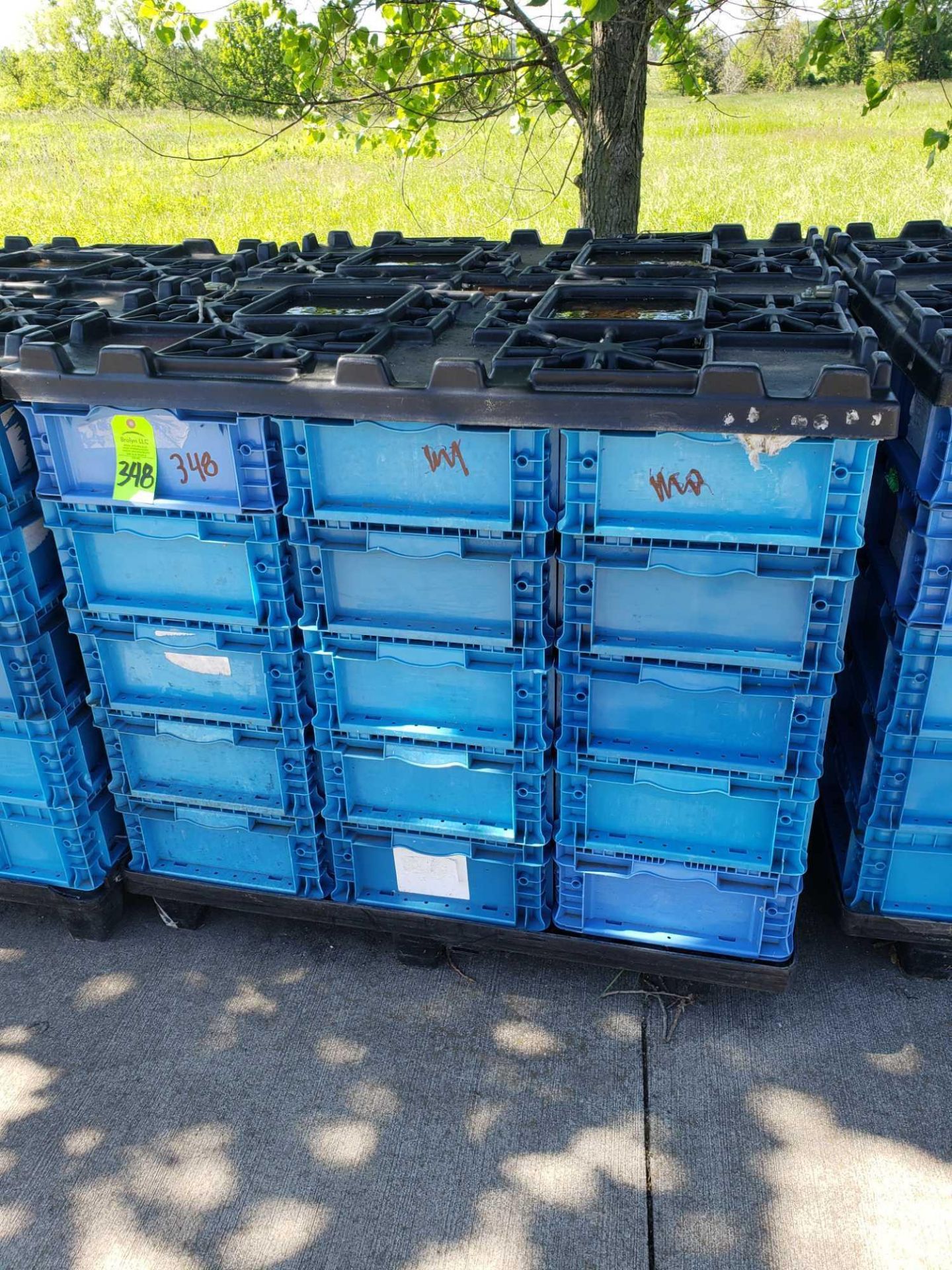 Qty 30 - plastic bins. 24" x 15" x 7" with pallet