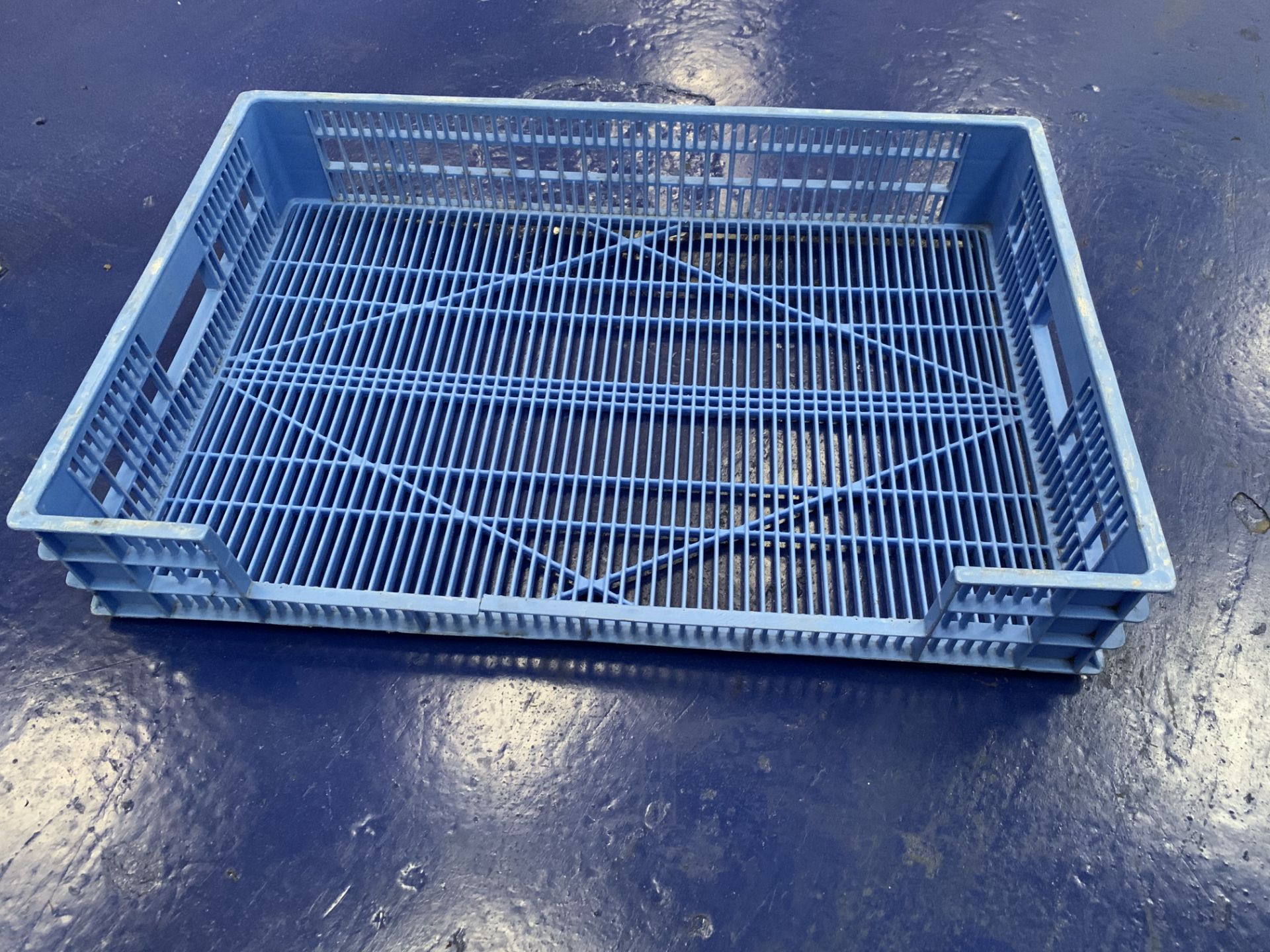 blue plastic cooling crates quantity of 20