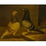 Andrew Beer (1862-1954) "Portrait of Two Pigeons" Oil on Canvas, signed W.A. Beer and dated 1891