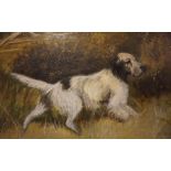 J.Dunn 20th Century "Mixed Breed" Oil on Board, Signed and dated 72 to lower right, 50cm x 74.5cm,