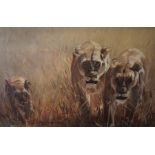 Paul Richardson "Stalking Lions" Oil on Canvas, signed lower left, 49cm x 74cm, framed