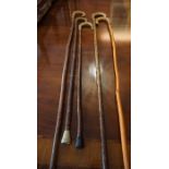 Five Assorted Walking Sticks, All having horn handles, 89cm, 98cm, 115cm, 124cm long, (5)