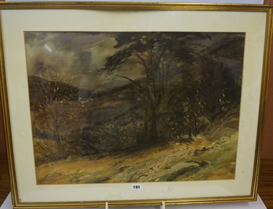 Anne Paterson Wallace (Scottish Born 1923) "Dark Hillside" Watercolour, 47cm x 64cm, framed - Image 2 of 4