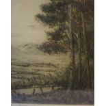 Walter Towers (Scottish) "Tweed Valley" Etching, signed in pencil to lower left, 22cm x 16.5cm,