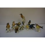 A Group of Continental Porcelain Figures of Birds by Carl Ens, to include owls, largest 24cm high,