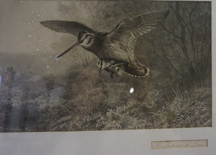 After Archibald Thorburn (British 1860-1935) "A Labour of Love" Print, also with three other - Image 3 of 6