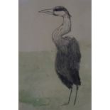 Mary Newcomb (Born 1972) "The Heron" Watercolour and Pencil, 26cm x 14cm, initialled MN to lower