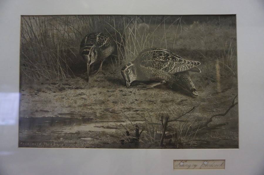 After Archibald Thorburn (British 1860-1935) "A Labour of Love" Print, also with three other - Image 6 of 6