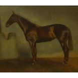 Continental School "Lady Cochranes Horse" Oil on Canvas, signed indistinctly lower right, 49cm x