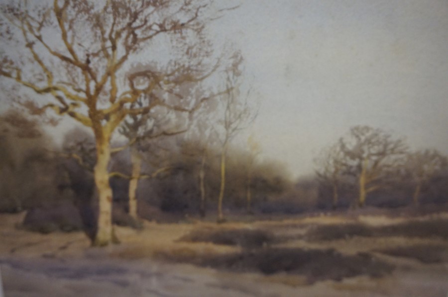 Tom Scott R.S.A (Scottish 1850-1934) "Edge of the Wood, The Haining Selkirk" Watercolour, signed and